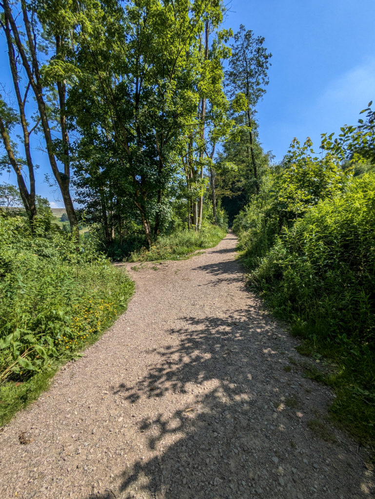 A fork in the trail...