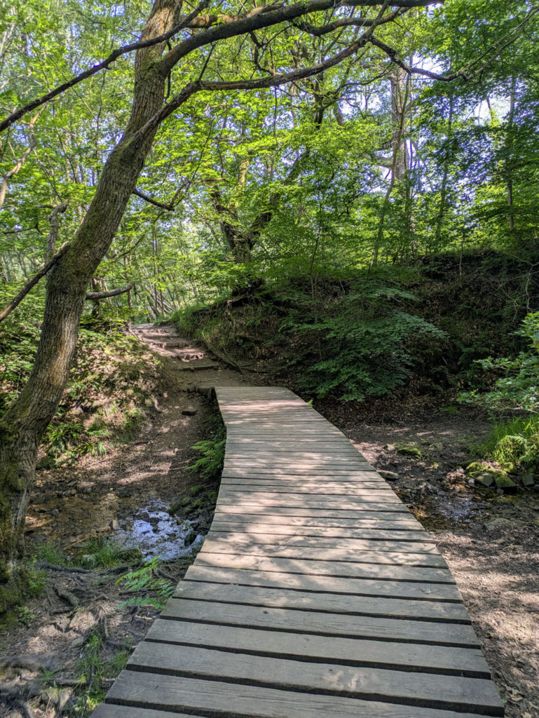 A wild bridge in its natural habitat.