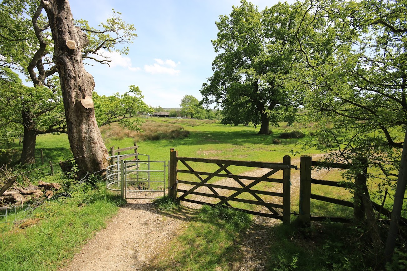 A gate on a Peak District trail leading into another field