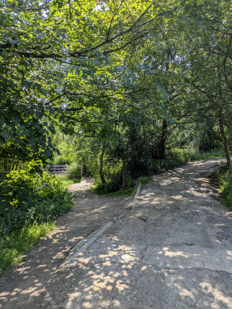 The start of woodland nature trail.