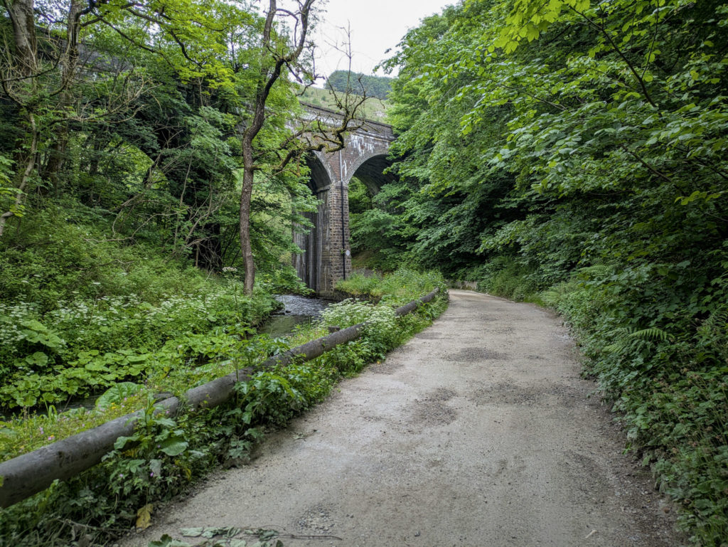 The walk from Wyedale up to the Monsal Trail