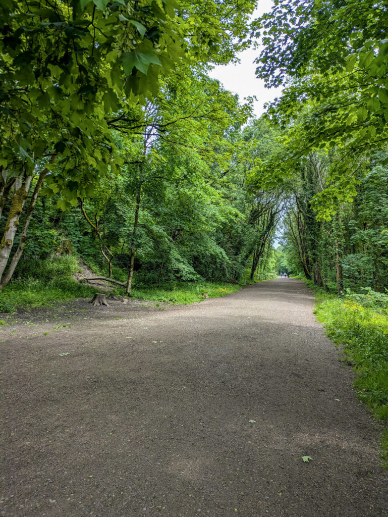 Trees over-arching the path
