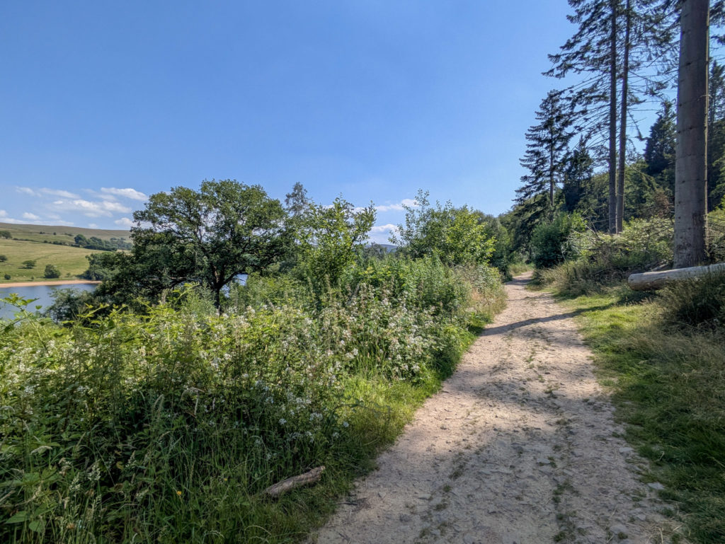 Views from the trail.