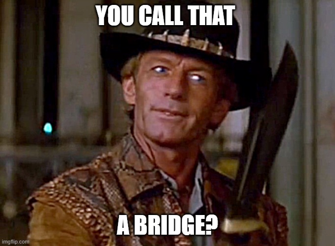 Crocadile Dundee You Call That A Brdige